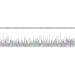 Mouse Lipopolysaccharide Binding Protein (LBP) Protein