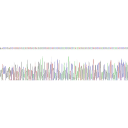 Mouse Lymphotoxin Beta Receptor (LTbR) Protein