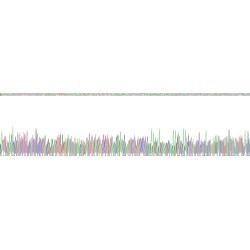 Human Matrix Gla Protein (MGP) Protein