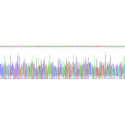 Human C-C Motif Chemokine 2 (CCL2) Protein
