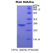 abx068198