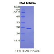 abx068199