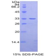 abx068288