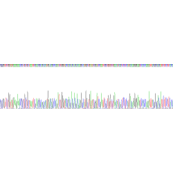 Human Parathyroid Hormone-Related Protein / PTHrP (PTHLH) Protein