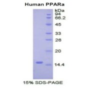 abx068494
