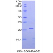 abx068495
