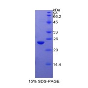 abx068498