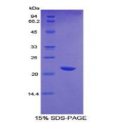 abx068597