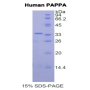 abx068656