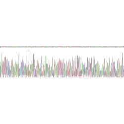 Mouse Eosinophil Cationic Protein (RNASE3) Protein