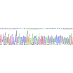 Mouse Pulmonary Surfactant-Associated Protein C (SFTPC) Protein
