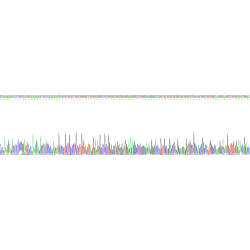 Human Pulmonary Surfactant Associated Protein D / SP-D (SFTPD) Protein