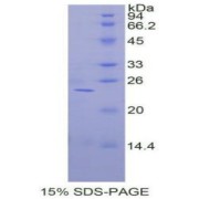 abx069329