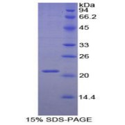abx069332