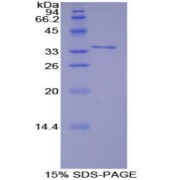 abx069350