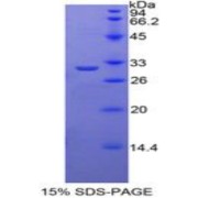 abx069352