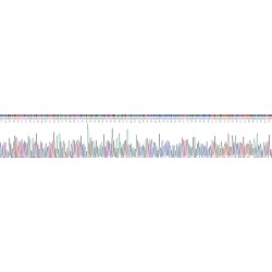 Mouse Tumor Necrosis Factor Ligand Superfamily Member 14 / LIGHT (TNFSF14) Protein