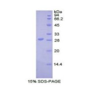 abx069589