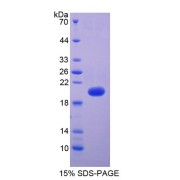 abx069630