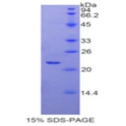 abx069634