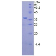 abx069651