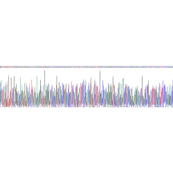 Mouse Von Willebrand Factor (vWF) Protein