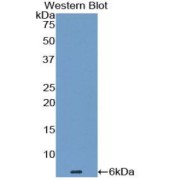 abx100920