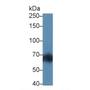 abx102566