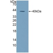 abx128756