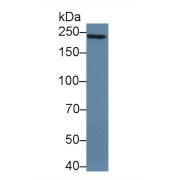 abx131518
