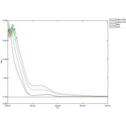 Asymmetric Dimethylarginine (BSA)