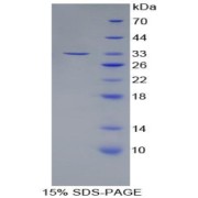 abx165986