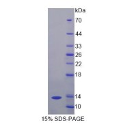 abx166351