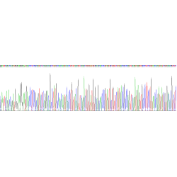 Chicken Tumor Necrosis Factor (TNF) Protein