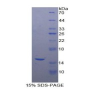 abx166414