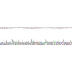 Human Collagen Type VI Alpha 3 (COL6A3) Protein