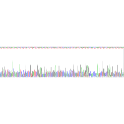 Human Nitric Oxide Synthase, Inducible (NOS2) Protein