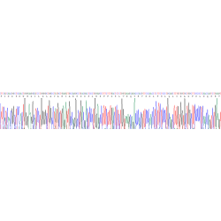 Human Beta-Secretase 1 (BACE1) Protein