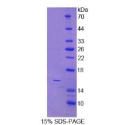 abx168769