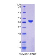 abx168839
