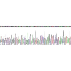 Human Acylglycerol Kinase (AGK) Protein
