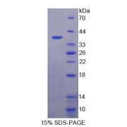 abx650698