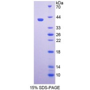 abx650734