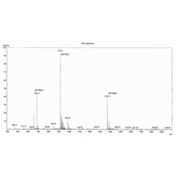 Mouse Urocortin (UCN) Peptide (OVA)