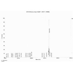 Rat Corticoliberin (CRH) Peptide (OVA)