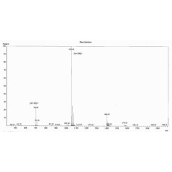 Cow Procollagen Type II C-Terminal Propeptide (PIICP) Peptide (OVA)