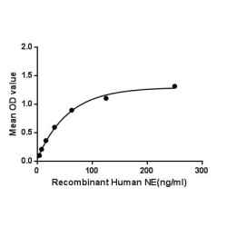 Human Neutrophil Elastase (ELANE) Protein (Active)