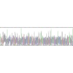 Human Neutrophil Elastase (ELANE) Protein (Active)