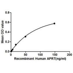 Human Adenine Phosphoribosyltransferase (APRT) Protein