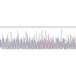 Rat Calpain 1, Large Subunit (CAPN1) Protein (Active)